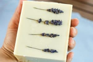 lavender cold process soap