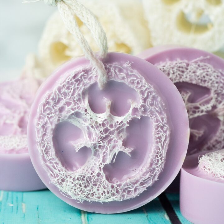 soap with loofah in the middle.