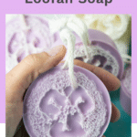 hand holding loofah soap.
